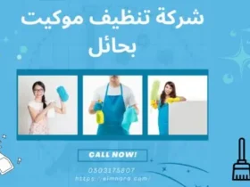 شركة تنظيف موكيت بحائل