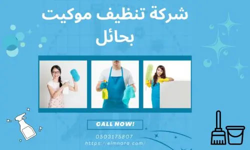 شركة تنظيف موكيت بحائل