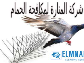 شركة تركيب طارد الحمام بحائل