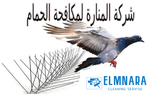 شركة تركيب طارد الحمام بحائل